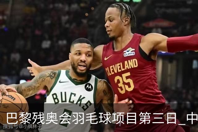 巴黎残奥会羽毛球项目第三日 中国队取得13胜3负